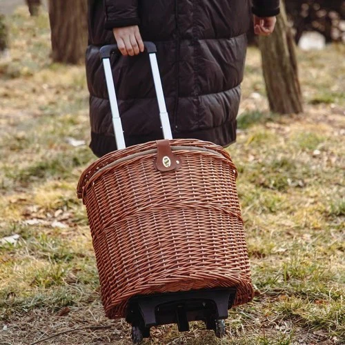 news-500-500 news-500-500